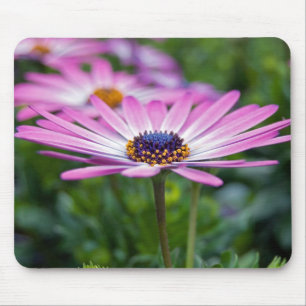 Pretty Purple Mouse Mat