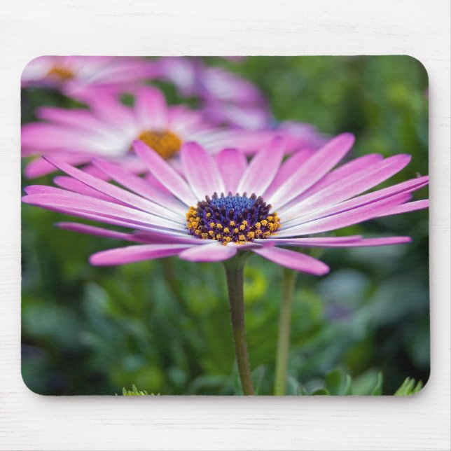 Pretty Purple Mouse Mat (Front)