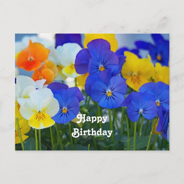Pretty Purple Pansies Floral Photo Birthday Postcard (Front)