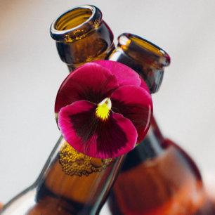 Pretty Purple Pansy Floral Bottle Opener