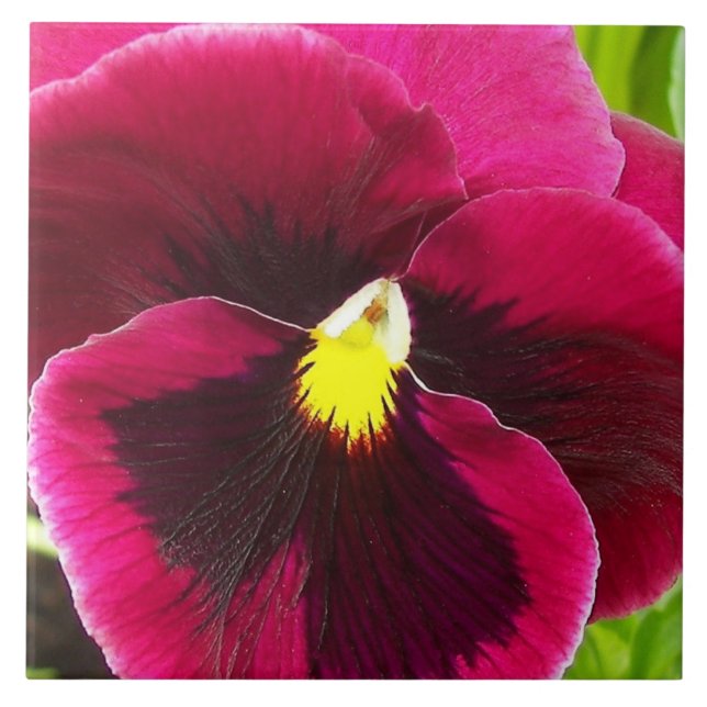 Pretty Purple Pansy Floral Tile (Front)