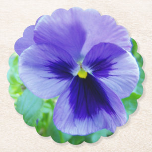 Pretty Purple Pansy Flower Paper Coaster