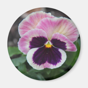 Pretty Purple Pansy Refrigerator Magnet