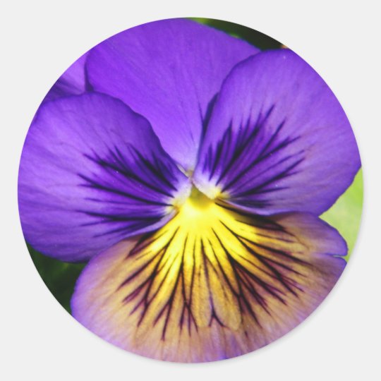 Pretty Purple Pansy Stickers