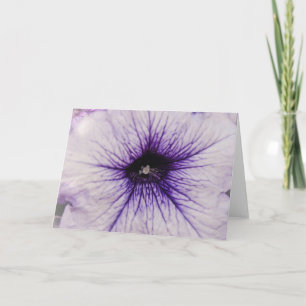 Pretty Purple Petunia Flower Close Up Art Card