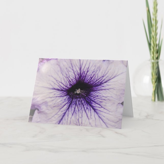 Pretty Purple Petunia Flower Close Up Art Card (Front)