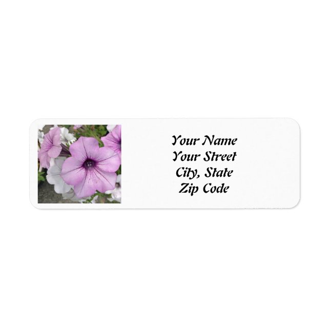 Pretty Purple Petunia Photo (Front)