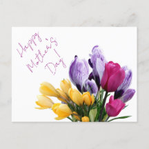  Pretty purple yellow pink tulip flowers for mum
