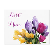 Pretty purple yellow pink tulip flowers for mum