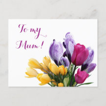  Pretty purple yellow pink tulip flowers for mum