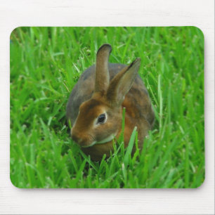 Pretty Rabbit Mouse Mat