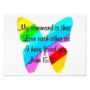 PRETTY RAINBOW BUTTERFLY PHOTO PRINT
