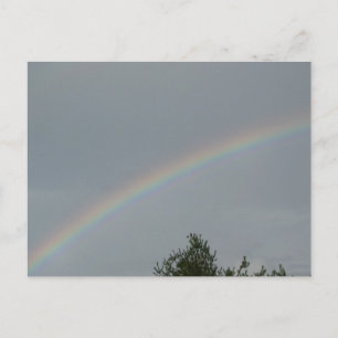 Pretty Rainbow Postcard