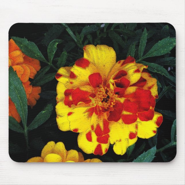 Pretty Red and Yellow Marigold Flowers Mouse Mat (Front)