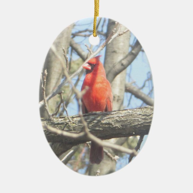 Pretty Red Cardinal Christmas Ceramic Tree Decoration (Front)
