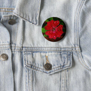 Pretty Red Dianthus Flower With Raindrops Photo 6 Cm Round Badge