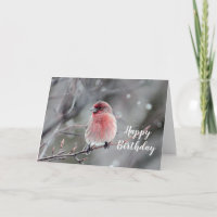 Pretty Red Finch Photo Birthday
