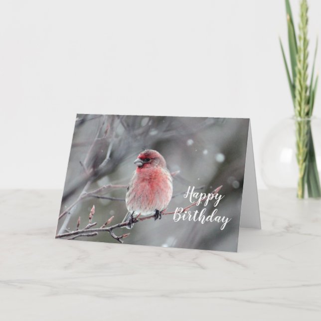 Pretty Red Finch Photo Birthday Card (Front)