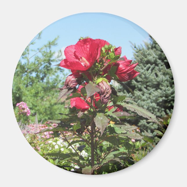 Pretty Red Flowers of the Midwest Photo Magnet (Front)