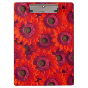 Pretty red flowers pattern clipboard