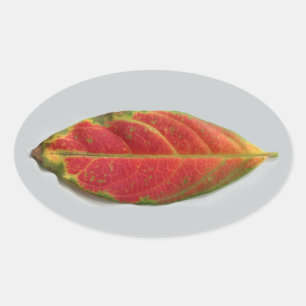 Pretty Red Leaf oval sticker, sealer, label