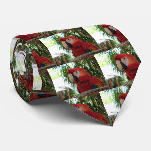 Pretty Red Parrot Tie