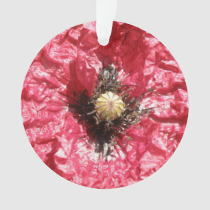 Pretty Red Poppy Flower Macro Acrylic Ornament