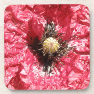 Pretty Red Poppy Flower Macro Cork Coaster