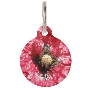 Pretty Red Poppy Flower Macro Dog Tag