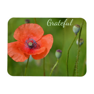 Pretty Red Poppy Gratitude Magnet