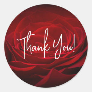Pretty Red Rose Thank You Classic Round Sticker