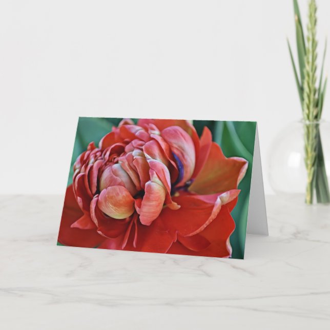 Pretty Red Tulip and Scripture Card  (Front)