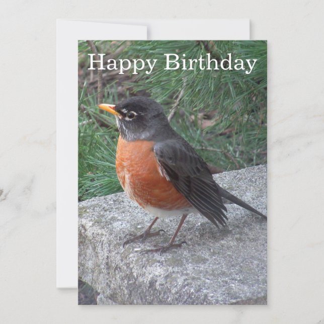 Pretty Robin Photo Birthday Flat Card (Front)