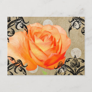 Pretty Rose Postcard