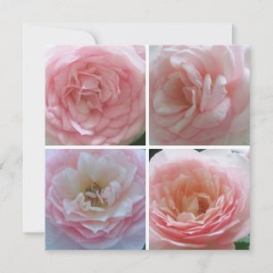 Pretty Roses Invitation