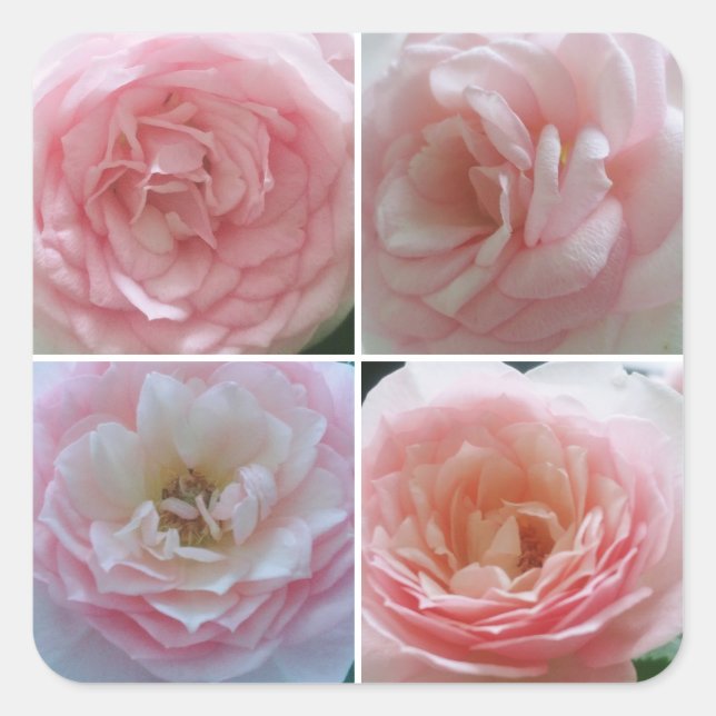 Pretty Roses Square Sticker (Front)