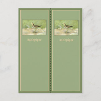 Pretty Sandpiper Bookmark Postcard