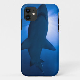 Pretty Sea Animals iPhone 11 Case