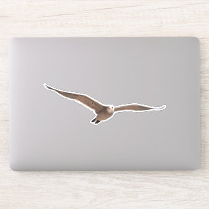 Pretty Sea Bird Gull in Flight Cut Out Sticker