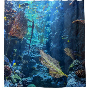 Pretty Sea Life Shower Curtain