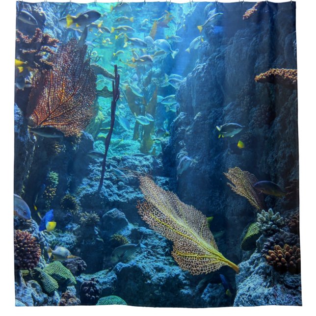 Pretty Sea Life Shower Curtain (Front)