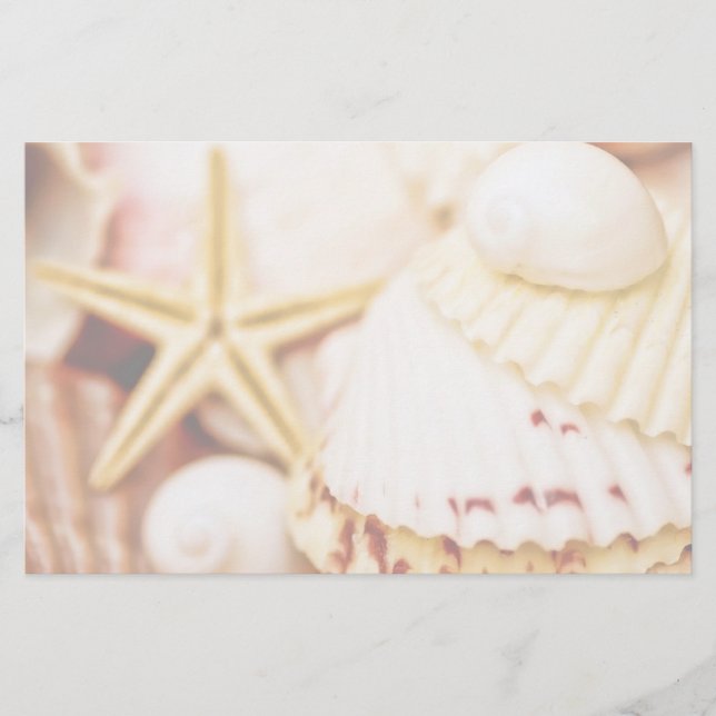 Pretty Seashells Stationery (Front)