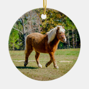 Pretty Shetland Pony Christmas Ornament