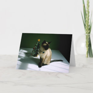 Pretty Siamese Cat with Tree Holiday Card