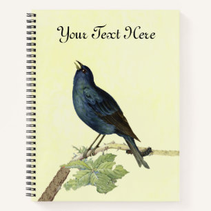Pretty Singing Blackbird on Branch Caterpillar  Notebook