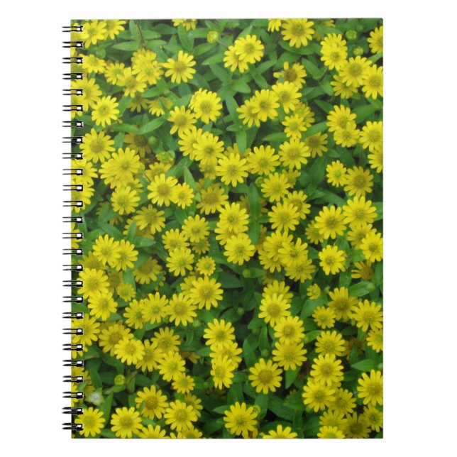 Pretty Small Yellow Flowers Notebook (Front)