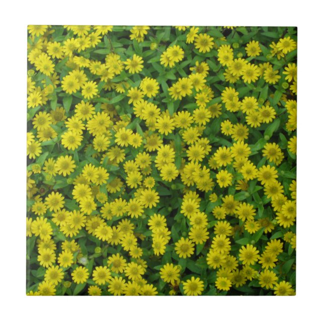 Pretty Small Yellow Flowers Tile (Front)