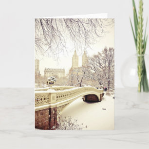 Pretty Snow - New York Holiday