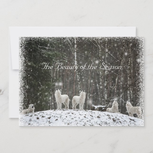 Pretty Snow Scene Nature Wolves Personalise Name Holiday Card (Front)