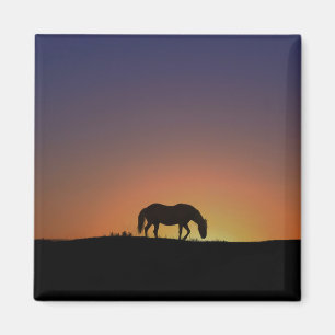 Pretty Southwestern Horse Magnet